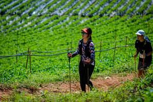 BIB: 
                            <button type="button" onclick="openModal(19164668)" class="btn btn-primary btn-sm float-right btn-popup" data-toggle="modal" data-target=".modal-high-quality">
                        <i class="fas fa-shopping-cart"></i> Add to Cart
                    </button>
                                            <button type="button" onclick="isThisMe(19164668, true)" class="btn btn-success btn-sm float-right btn-popup btn-isme hidden" data-toggle="tooltip" data-placement="bottom" title="นี่คือรูปของคุณใช่ไหม คลิกที่นี่เพื่อเอาเข้าอัลบั้ม">
                        <i class="fas fa-plus"></i> Add to album
                    </button>
                    <button type="button" onclick="isThisMe(19164668, false)" class="btn btn-warning btn-sm float-right btn-popup btn-isnotme hidden">
                        <i class="fas fa-ban"></i> Remove from album
                    </button>